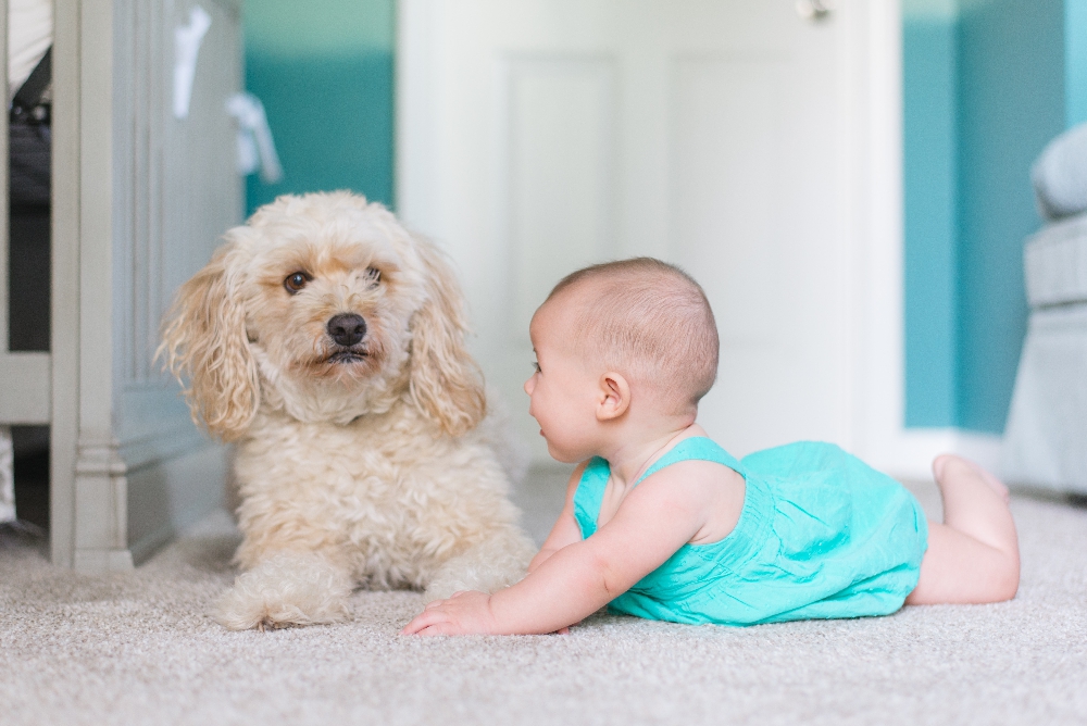 premiere rencontre bebe